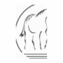 Logo Appaloosa LP