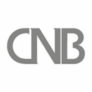 Logo Czech National Bank