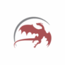 Logo Dragoneer Investment Group, LLC