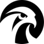 Logo Falcon's Beyond Global