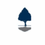 Logo LINDEN ADVISORS LP