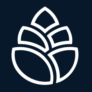 Logo Rokos Capital Management LLP
