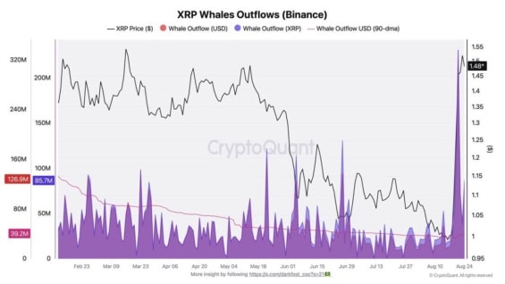 Výběry XRP z Binance velrybami