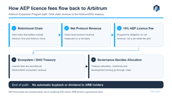 Jak získává Arbitrum příjmy z Robinhood chainu.