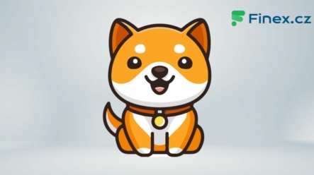 Kryptoměna Baby Doge Coin (BABYDOGE) – Kurz, graf vývoje, kde koupit?