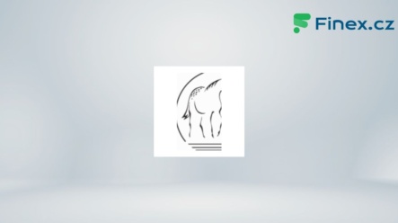 Appaloosa Management