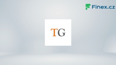 Tiger Global Management