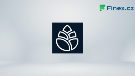 Rokos Capital Management