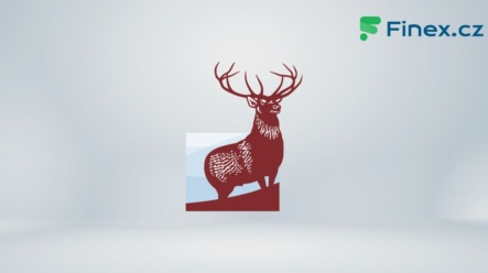 Akcie Hartford Financial Services Group (HIG)