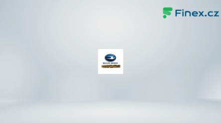 Akcie Blue Bird (BLBD)