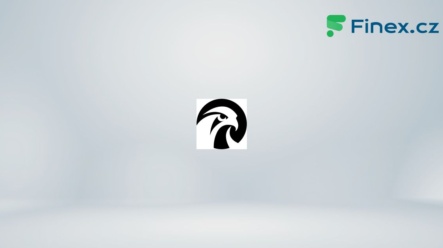 Akcie Falcon’s Beyond Global (FBYD)